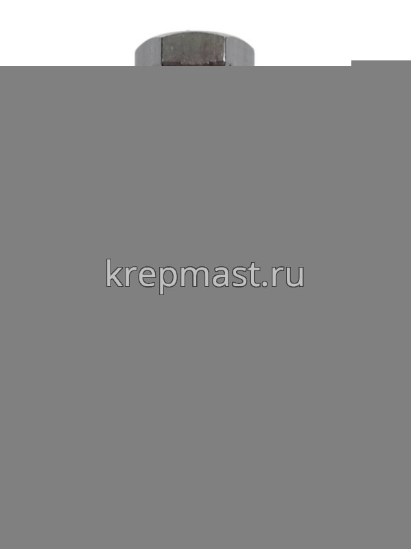 Болт 10х 70 кл.пр.10,9 черный н/р DIN 931