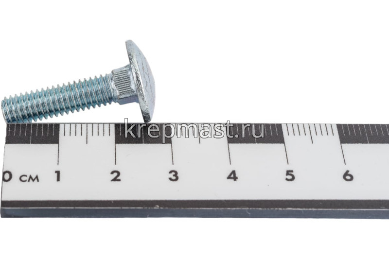 Болт мебельный 6х 25 DIN 603